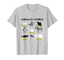 Load image into Gallery viewer, Animals of the world trash panda, danger noodle, sea flap