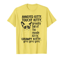 Load image into Gallery viewer, Annoyed Kitty, Touchy Kitty T shirt