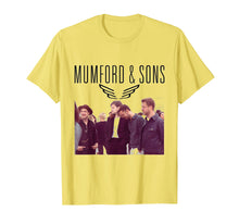 Load image into Gallery viewer, Angin Mumford Delta Tour Sons 2018 2019