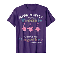 Load image into Gallery viewer, Apparently We're Trouble When We Are Together Flamingo Shirt