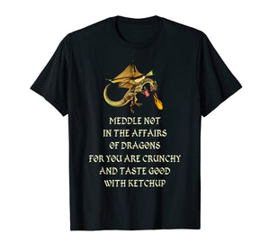 Meddle Not In The Affairs Of Dragons T-Shirt