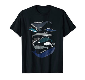 9 Types of Whales Shirt - Whale Breeds Species - Whale Lover