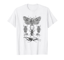 Load image into Gallery viewer, Insect Bug Collection Shirt Moth Stag Beetle Cicada T-Shirt
