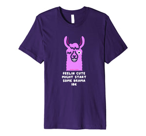 Feeling Cute Might Start Some Drama IDK Llama Shirt