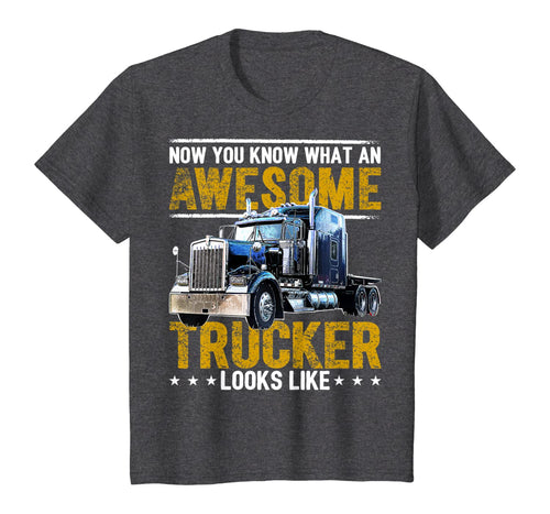 Awesome Trucker Big Rig Semi-Trailer Truck Driver Gift Men T-Shirt