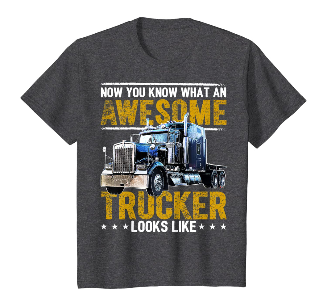 Awesome Trucker Big Rig Semi-Trailer Truck Driver Gift Men T-Shirt