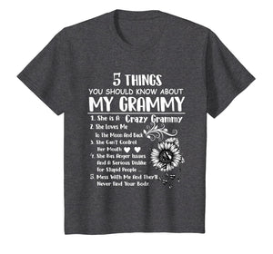 5 things you should know about my grammy T-shirt