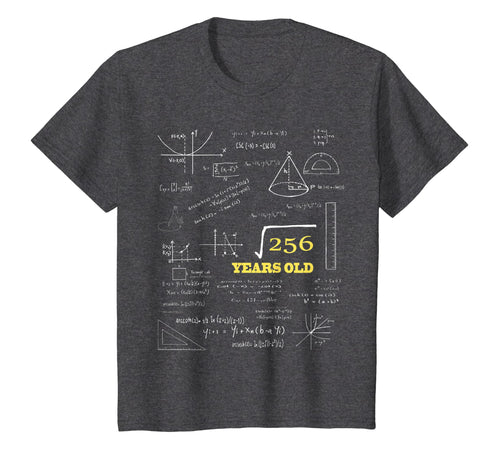 Square Root of 256, 16th Birthday 16 Years Old T-Shirt