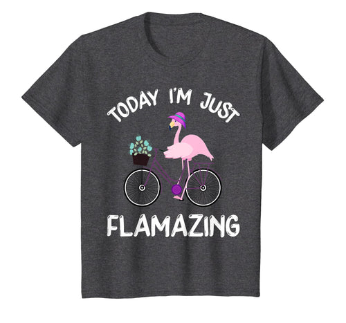 Today I Am Flamazing T-Shirt Amazing Flamingo Bicycle Lover