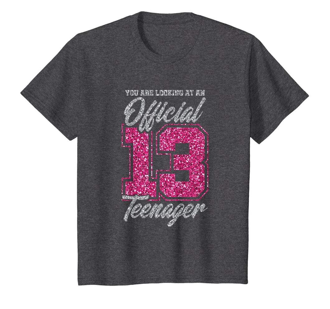13 Year Old Boys & Girls 13th Birthday Gift T-Shirt