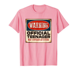 Funny 13th Birthday T Shirt Official Teenager 13 Years Old