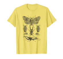 Load image into Gallery viewer, Insect Bug Collection Shirt Moth Stag Beetle Cicada T-Shirt
