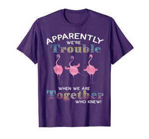 Apparently We're Trouble When We Are Together Flamingo Shirt
