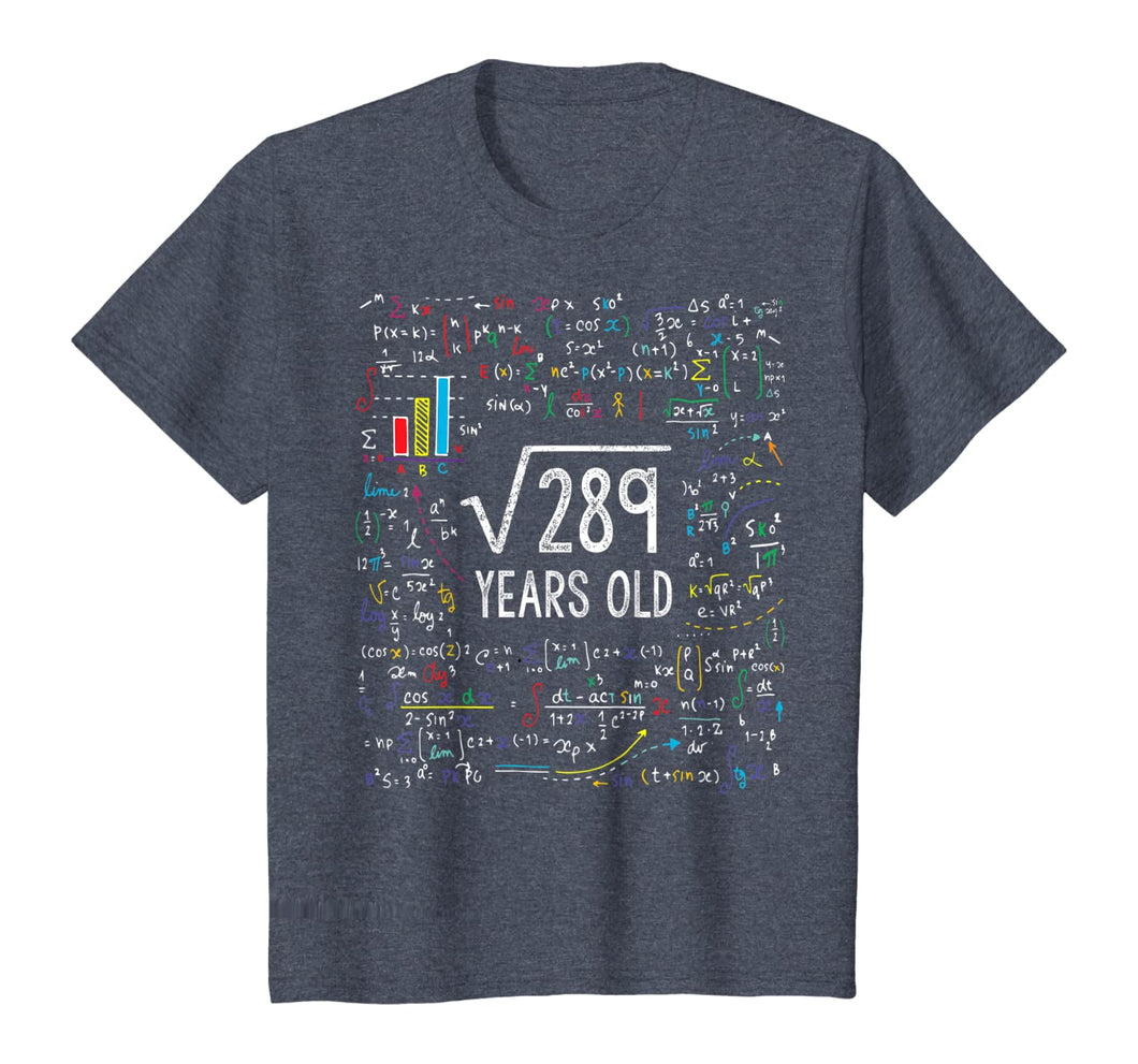 Square Root Of 289 17th Birthday 17 Year Old Gifts Math Bday T-Shirt