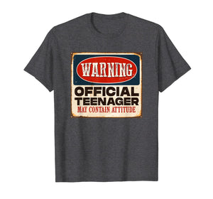 Funny 13th Birthday T Shirt Official Teenager 13 Years Old