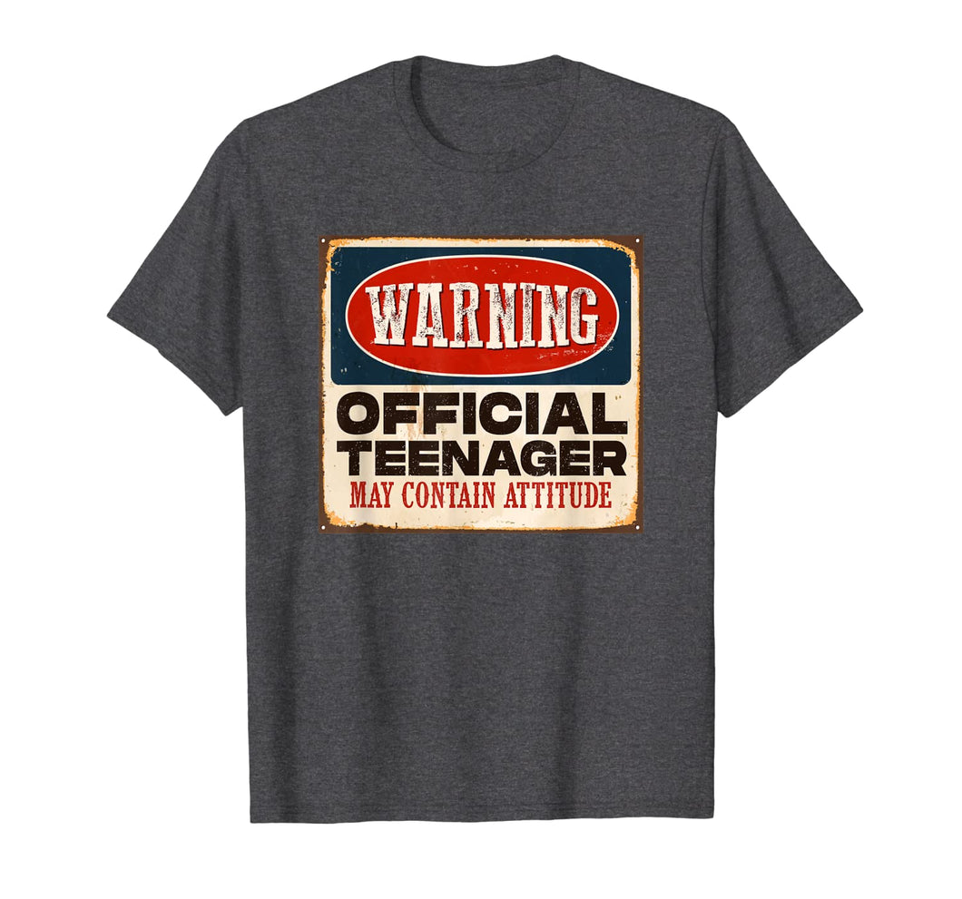 Funny 13th Birthday T Shirt Official Teenager 13 Years Old