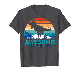 Awesome Since 1987 T-Shirt 32 Years Old Dinosaur Gift