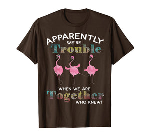 Apparently We're Trouble When We Are Together Flamingo Shirt