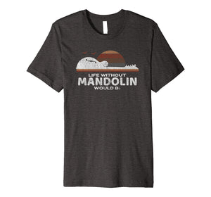 Mandolin Distressed T-Shirt : Gift for Mando Lovers