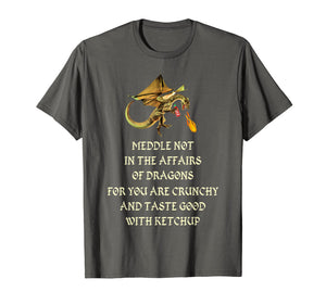Meddle Not In The Affairs Of Dragons T-Shirt