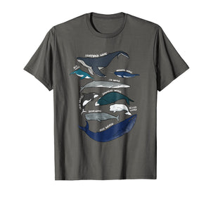 9 Types of Whales Shirt - Whale Breeds Species - Whale Lover