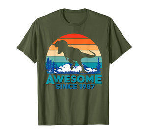 Awesome Since 1987 T-Shirt 32 Years Old Dinosaur Gift