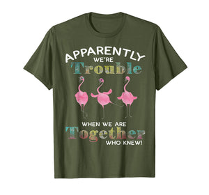 Apparently We're Trouble When We Are Together Flamingo Shirt