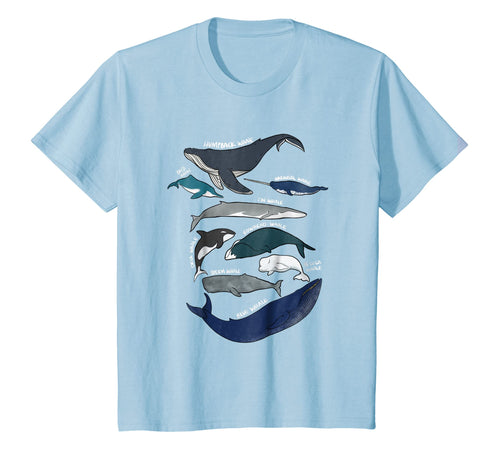 9 Types of Whales Shirt - Whale Breeds Species - Whale Lover