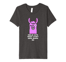 Load image into Gallery viewer, Feeling Cute Might Start Some Drama IDK Llama Shirt
