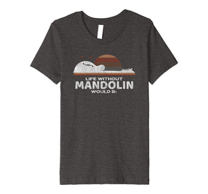 Mandolin Distressed T-Shirt : Gift for Mando Lovers