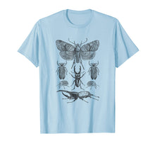 Load image into Gallery viewer, Insect Bug Collection Shirt Moth Stag Beetle Cicada T-Shirt
