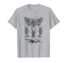 Load image into Gallery viewer, Insect Bug Collection Shirt Moth Stag Beetle Cicada T-Shirt
